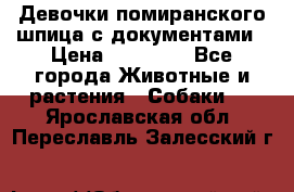 Девочки помиранского шпица с документами › Цена ­ 23 000 - Все города Животные и растения » Собаки   . Ярославская обл.,Переславль-Залесский г.